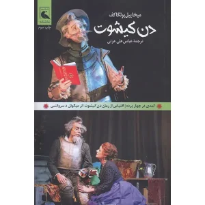 دن کیشوت