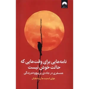 کتاب نامه‌ هایی برای وقت‌ هایی که حالت خوش نیست