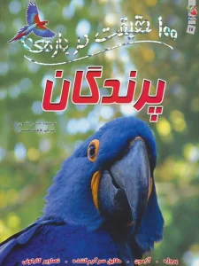 100حقيقت درباره ی پرندگان